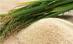The History of Rice